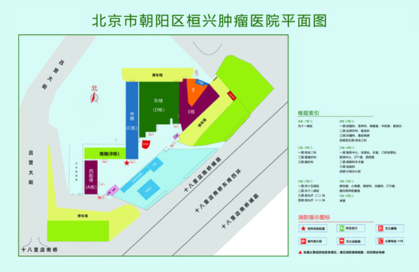 骚穴视频影院北京市朝阳区桓兴肿瘤医院平面图